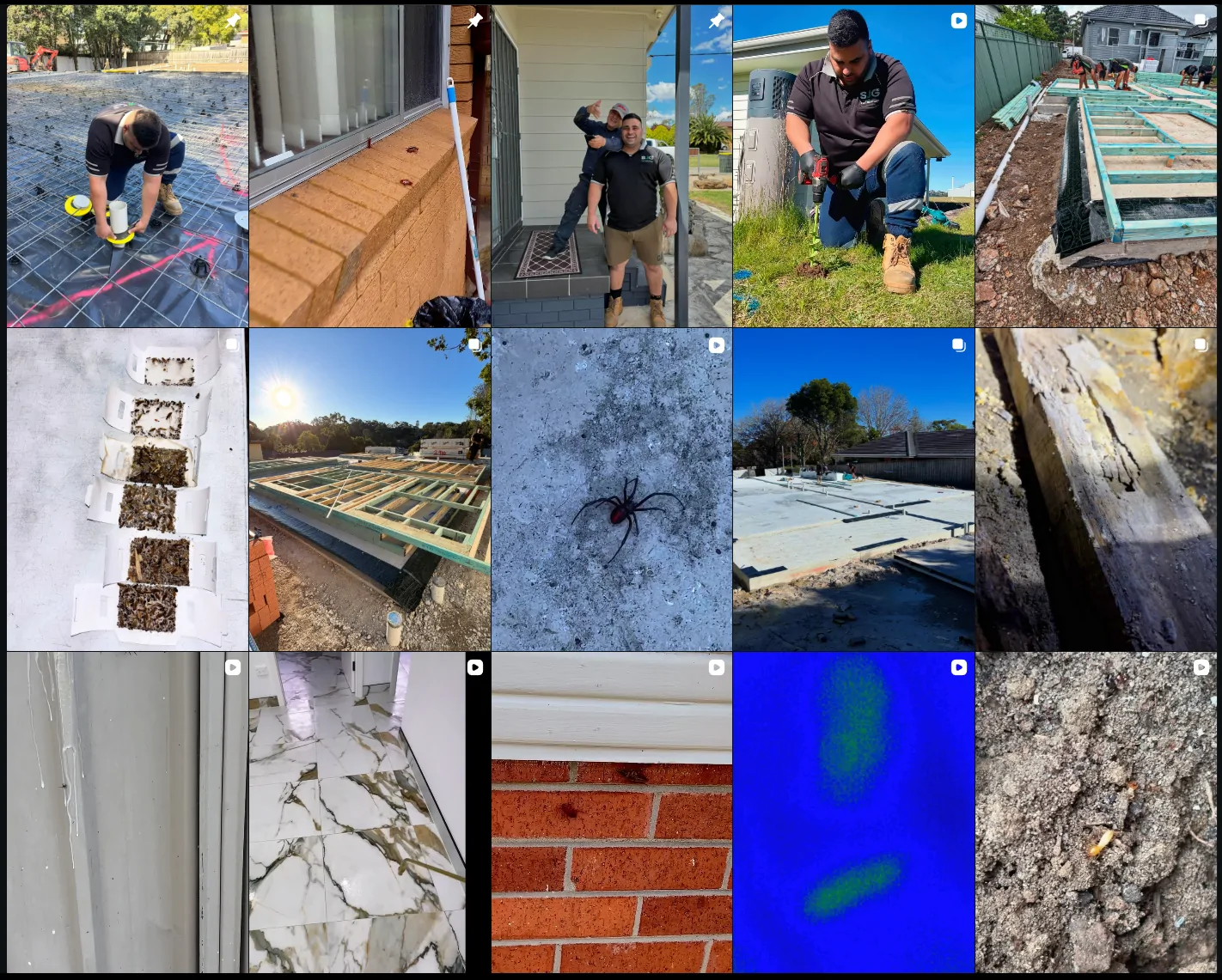 Recent posts from the SJG Pest Solutions Instagram — technicians on site, termite damage, spiders and pre-construction slab work